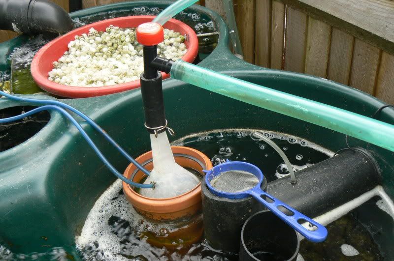 Simply Koi and More Koi • View topic UV v foam fractionator