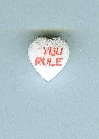 YouRule-6.jpg