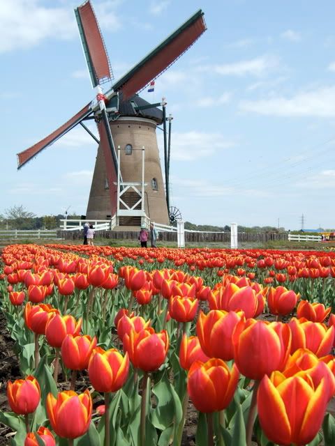 Dutch_windmill.jpg