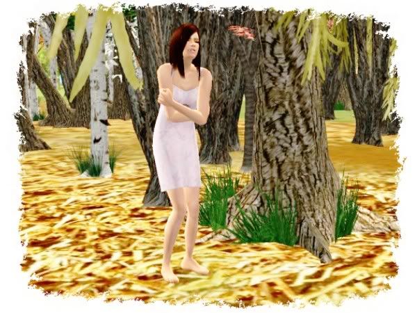 snapshot_11f62b59_91f63396.jpg