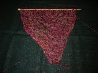 Shawl Correctus