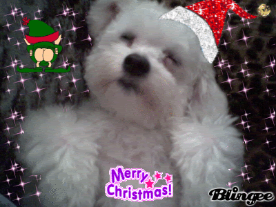 [img width=400 height=300]http://i27.photobucket.com/albums/c182/terrorsabjuh/mannen/jaja/331095309_9eae0170.gif[/img]