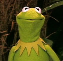 kermit-1-1.jpg