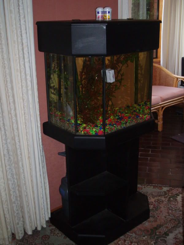 fishtank001.jpg