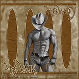 HawkCowboy.jpg image by RequestableTags
