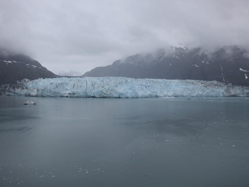 6-3-2014glacierbay042.jpg