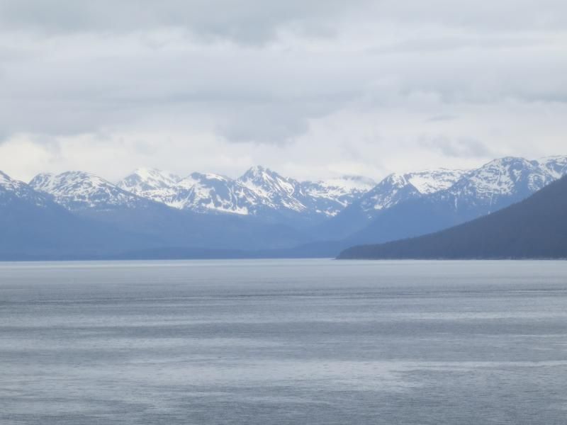 6-3-2014glacierbay127.jpg