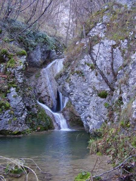Slika