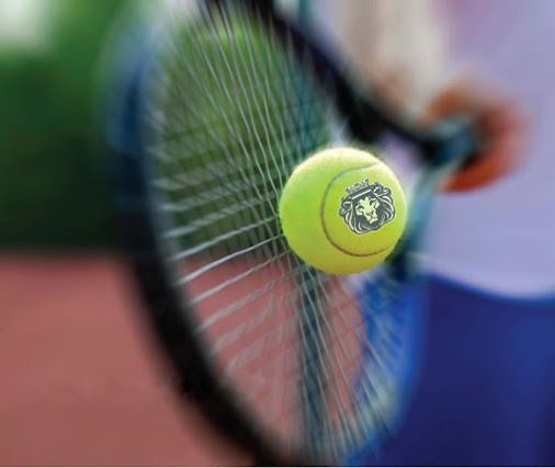  photo Tennis raquet with logo_zpspmp5oaxt.jpg