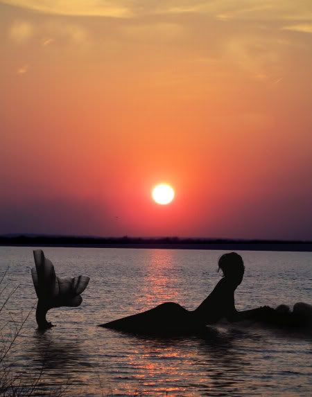 Serene Pictures, Images and Photos