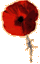 poppy-left.gif