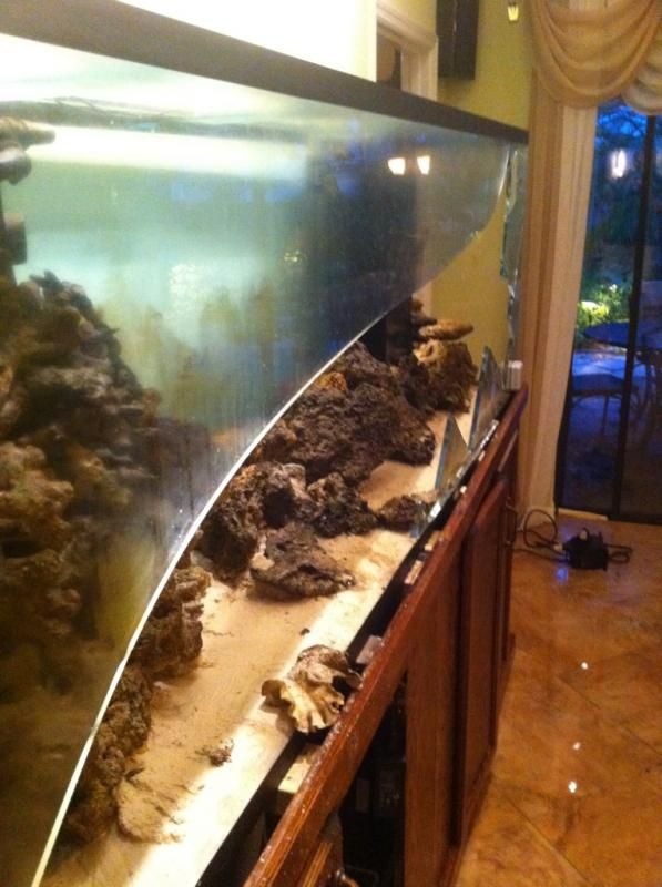 Recent review of Glass Cages.? Reef Central Online Community