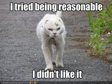  photo funny-pictures-cat-does-not-like-being-reasonable_zpsdhoprmbz.jpg