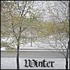 Winter.jpg