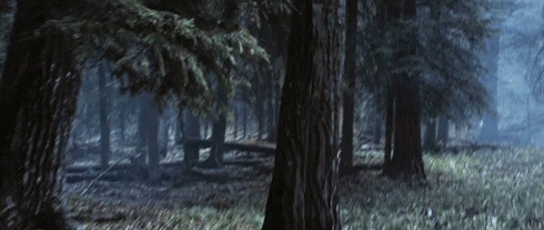 forest-1_zps9e5nuyhp.gif