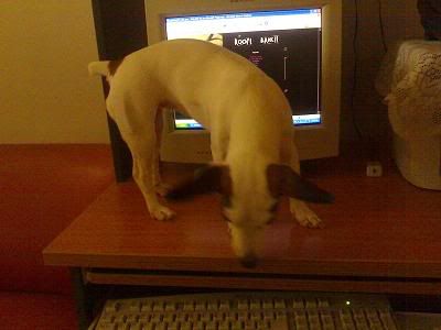 Image hosting by Photobucket