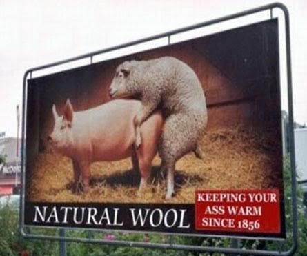 wool.jpg