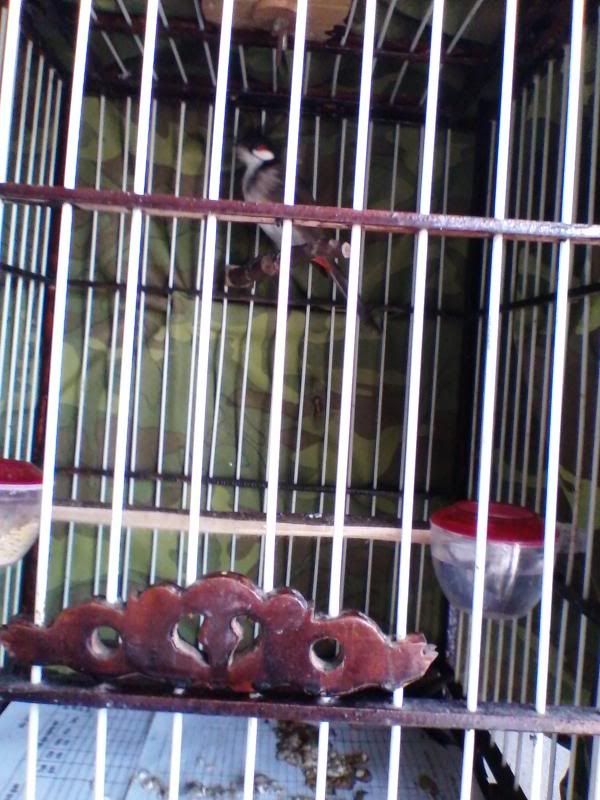 20130913_094156252.jpg