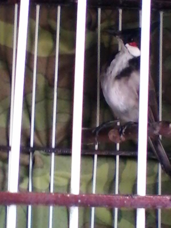 20130913_094217332.jpg