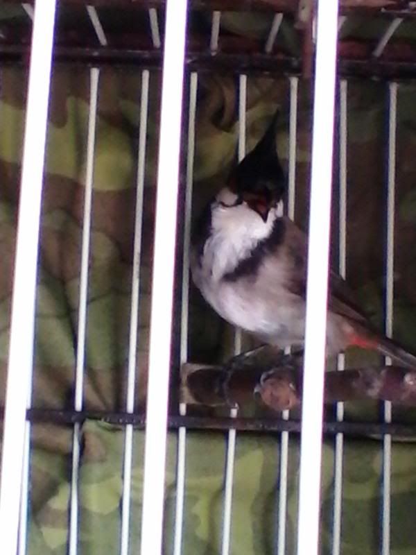 20130913_094226930.jpg