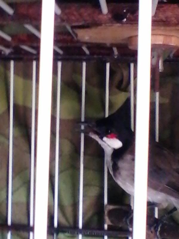 20130913_094307255.jpg