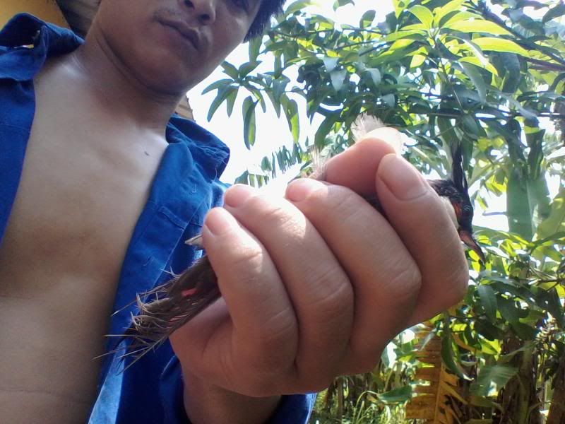 20130914_120557762.jpg