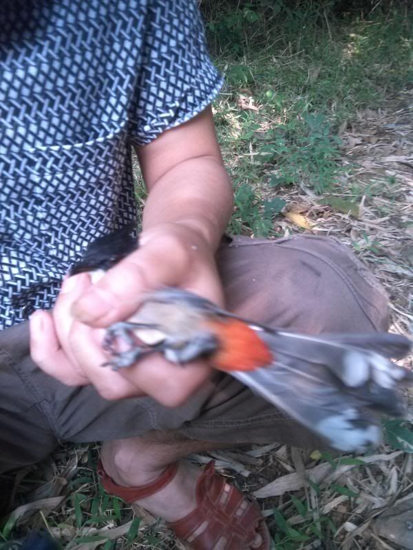 20131025_010125391.jpg