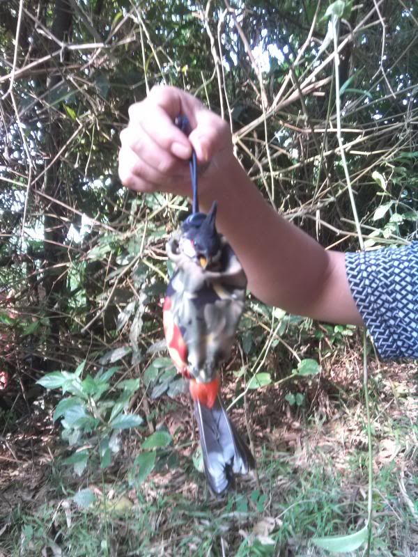 20131025_010228910.jpg
