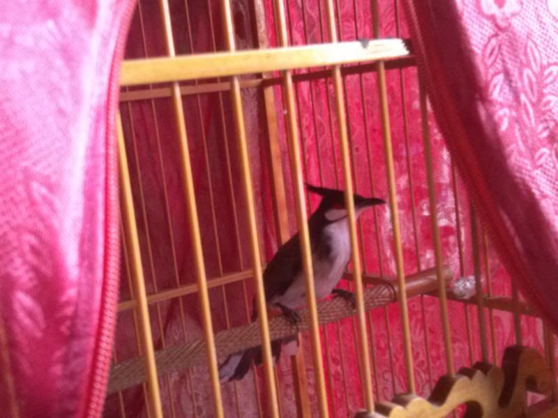 20131025_163202790.jpg