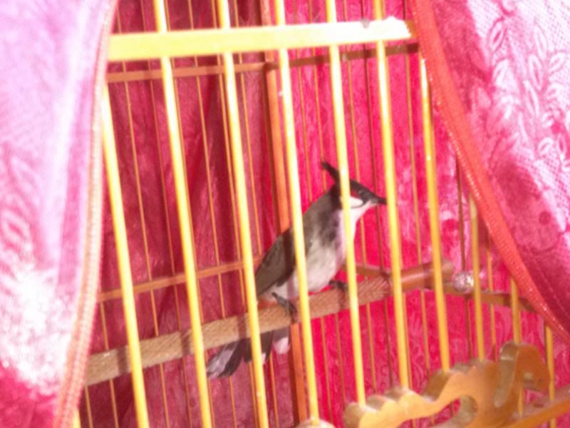 20131025_163208334.jpg