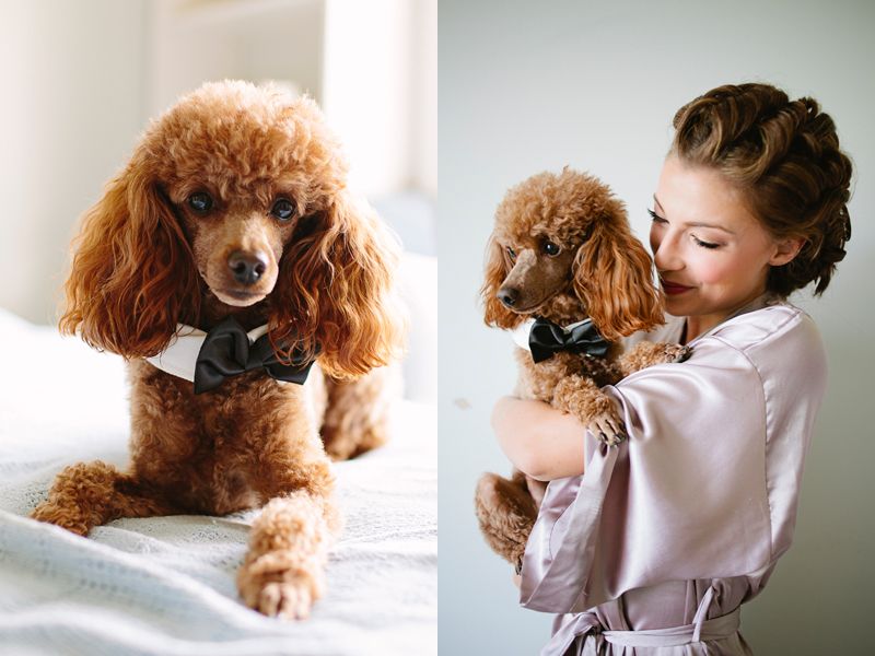 photo brookecourtney_kylecarley-3-1.jpg