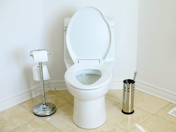  photo toilet.jpg