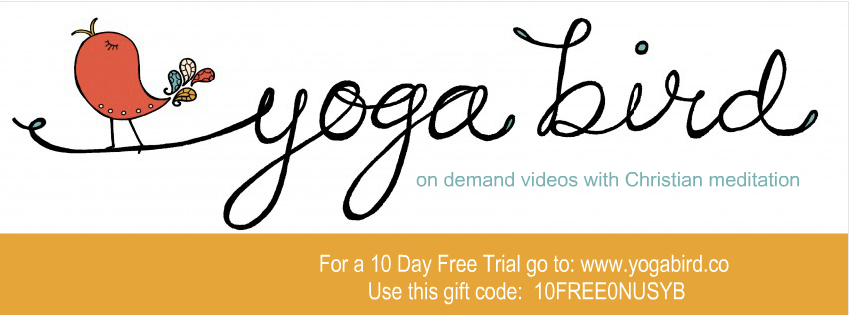  photo yogabirdcode.png