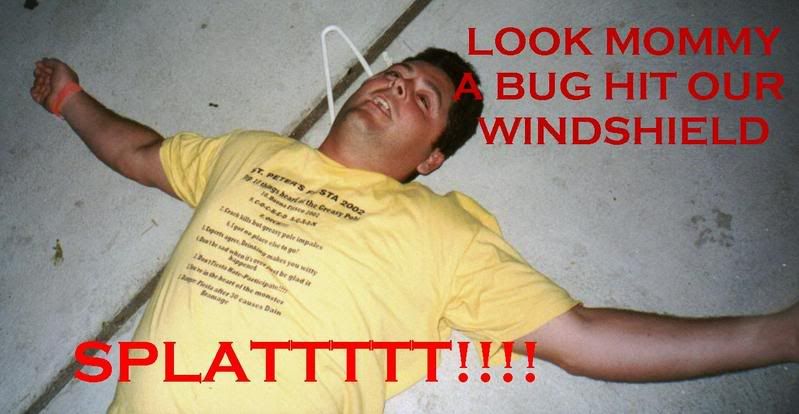 Rabbit Hit The Windshield