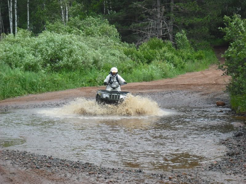 [Image: Picture017.jpg]