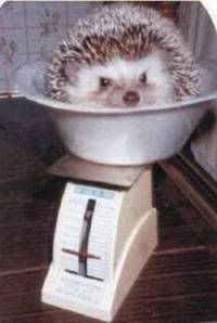 User submitted image