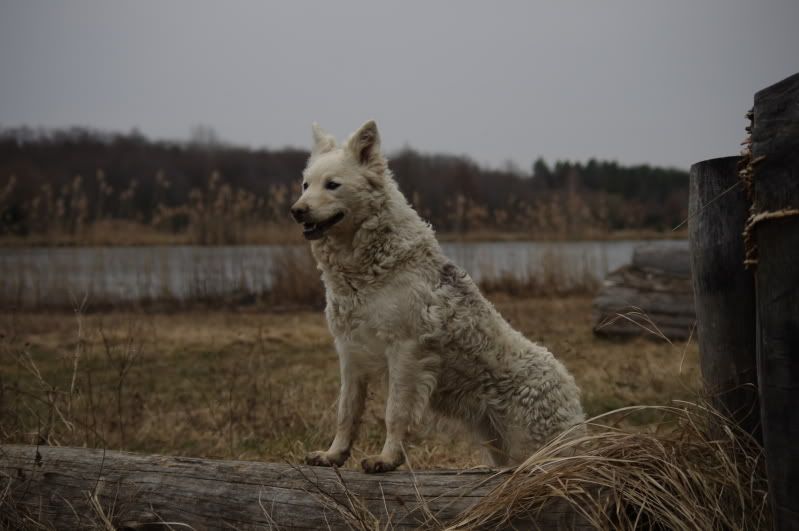 20110213046.jpg