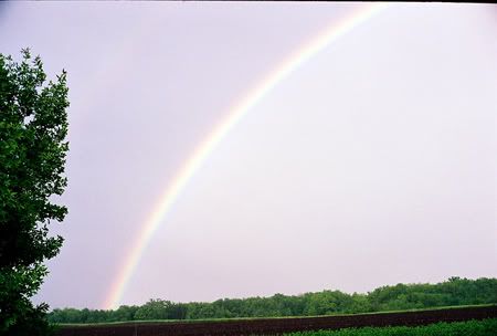 rainbow2.jpg