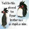 Stupid brother Pictures, Images and Photos