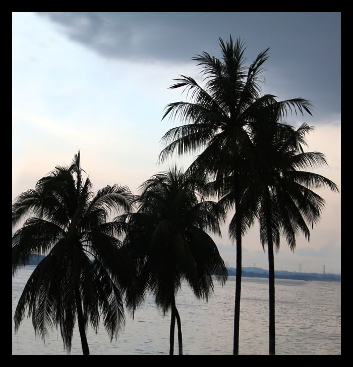 IMAGE: http://i27.photobucket.com/albums/c192/jayson_ang2/Landscape/aecc5047.jpg