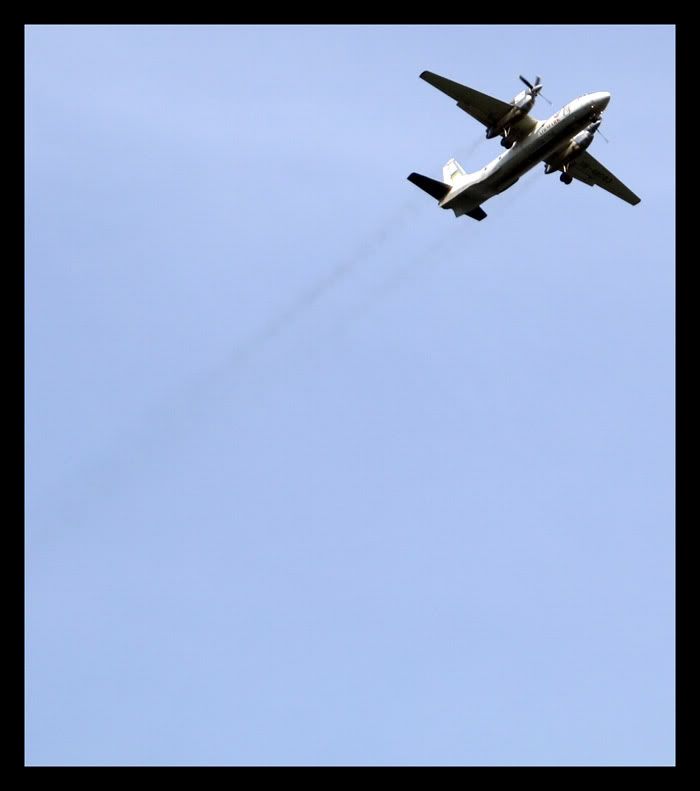 IMAGE: http://i27.photobucket.com/albums/c192/jayson_ang2/Nature%20and%20Animals/7c1354aa.jpg