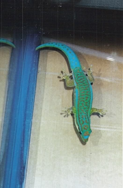 scan0002.jpg