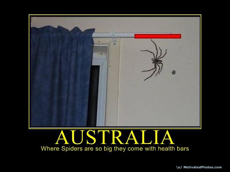 Australiaspiders.jpg