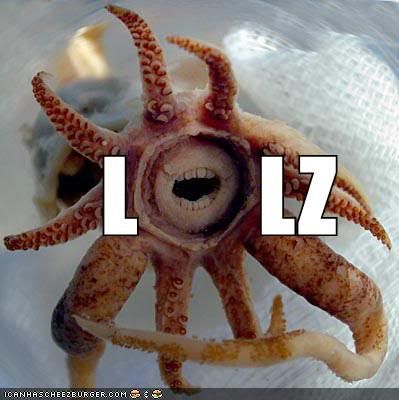 funny-pictures-lol-squid.jpg