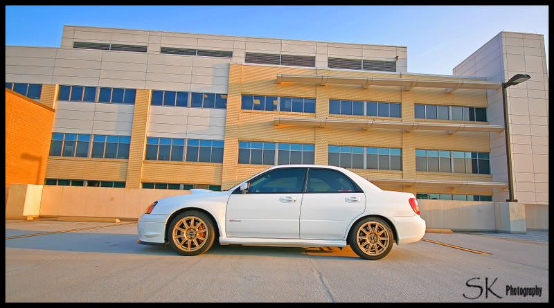 [Image: IMG_0639_edited-1.jpg]