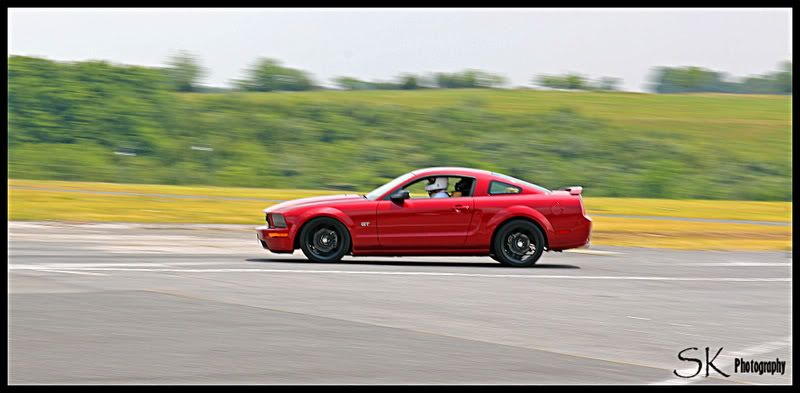 [Image: IMG_0706_edited-1.jpg]