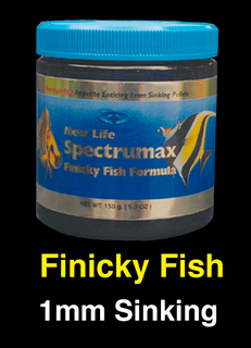finickyfish.png