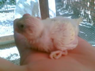 Image007.jpg
