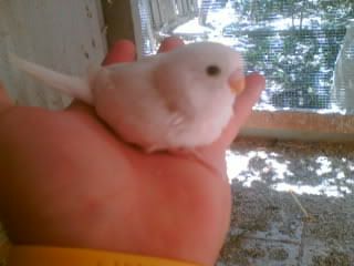Picture002.jpg