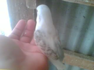 Picture003.jpg